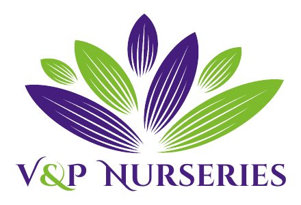 V&P Nurseries